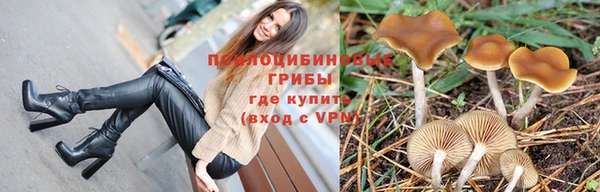 скорость mdpv Новодвинск