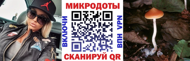 мориарти какой сайт  наркотики  Светогорск  Псилоцибиновые грибы ЛСД  mega ссылки 